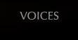 voice talent